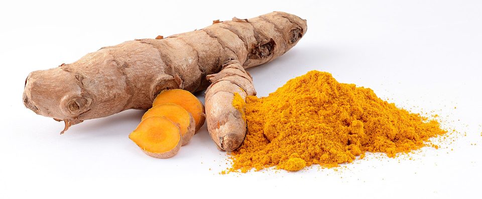 Zerdeçal — Curcuma longa L.