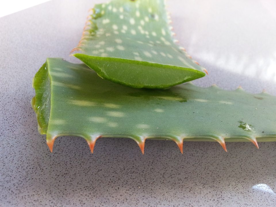 Ev Yapımı Aloe Vera Jeli