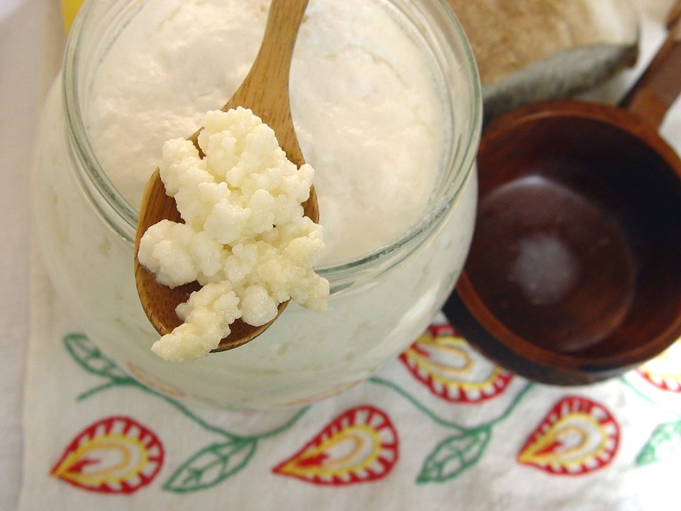 Ev Yapımı Kefir