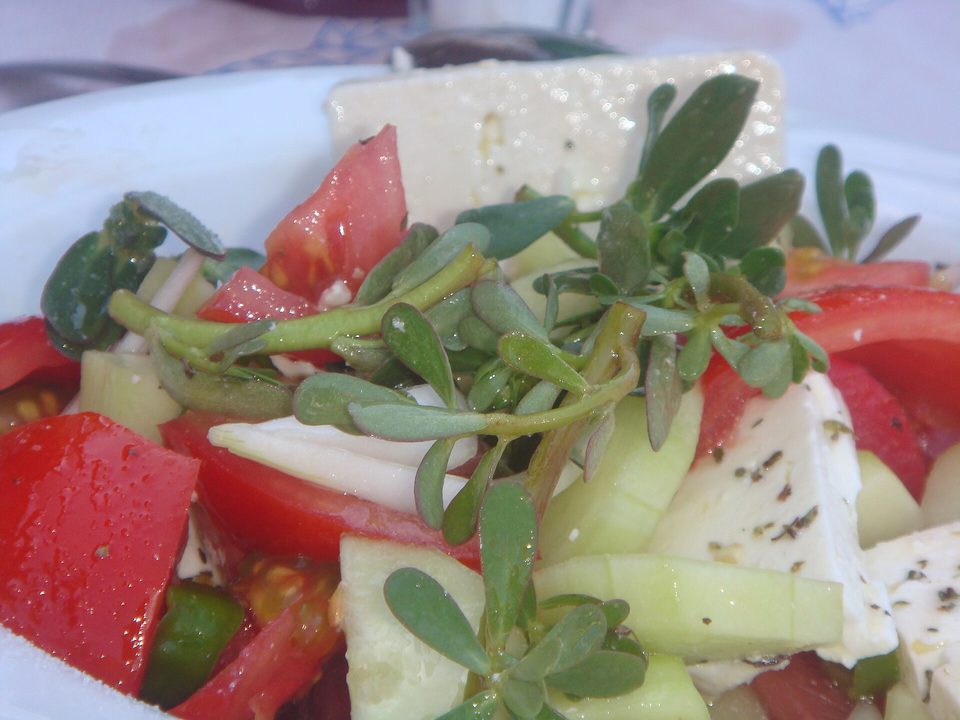 Yoğurtlu Semizotu Salatası